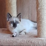 SCOUBI, adopté