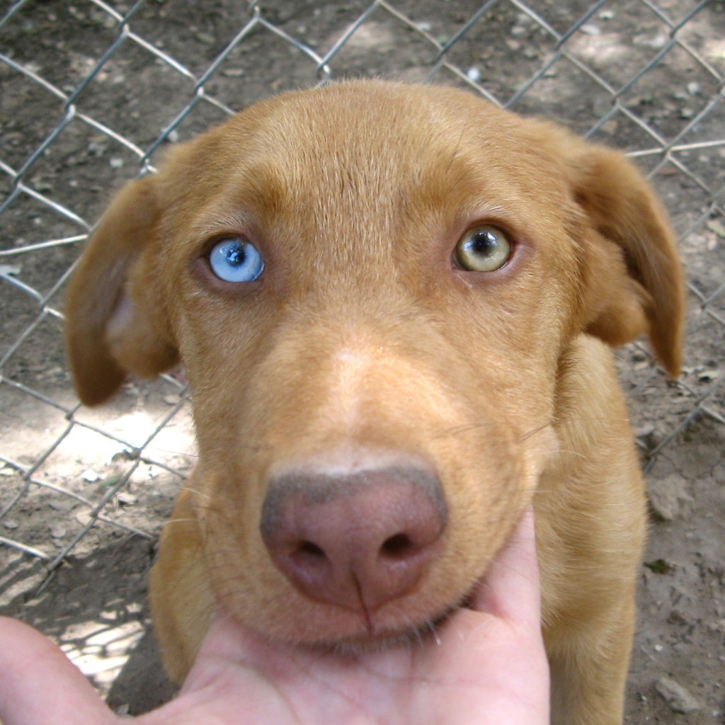 Quel regard!