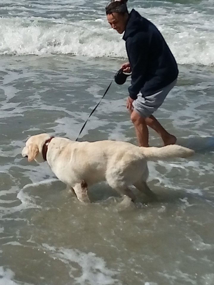Titi découvre les vagues... Ça change du mistral !