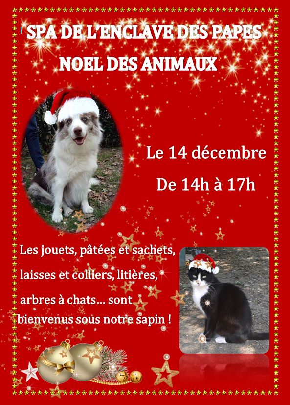 Affiche noel animaux