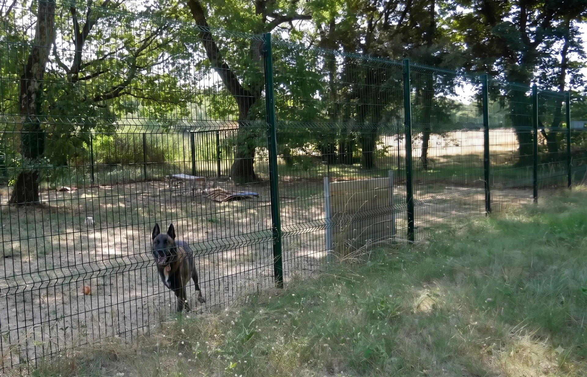 Le parc de détente du refuge, clôturé, avec un chien au milieu de l'herbe
