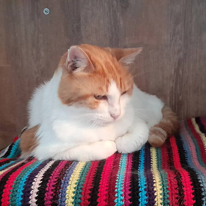 Milos