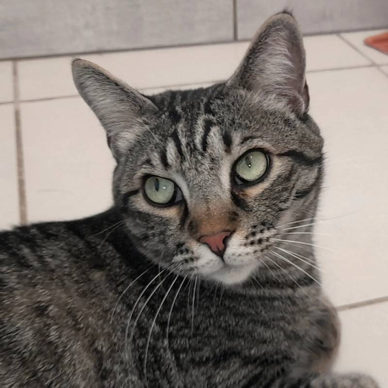 Sirius