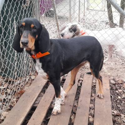 USHKA